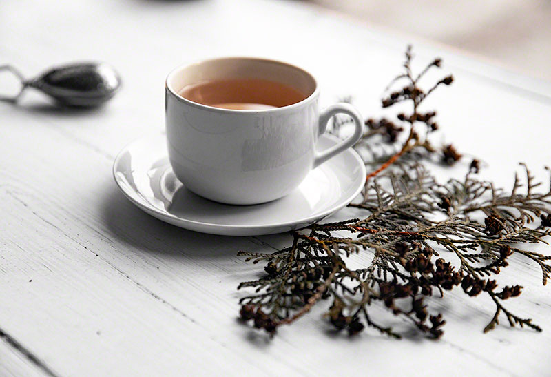 How to Brew Herbal Tea