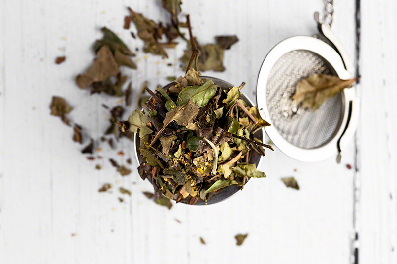 White Tea Prep Tips + Where to Buy