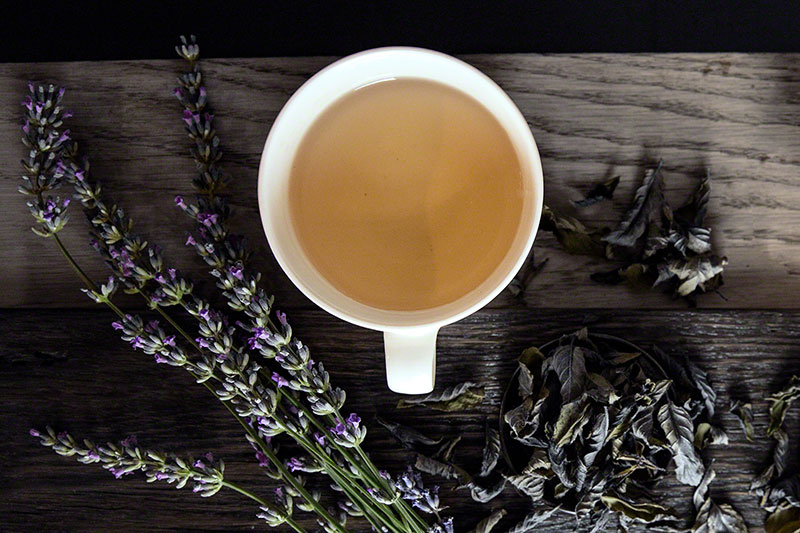 Best Herbal Tea for Better Sleep