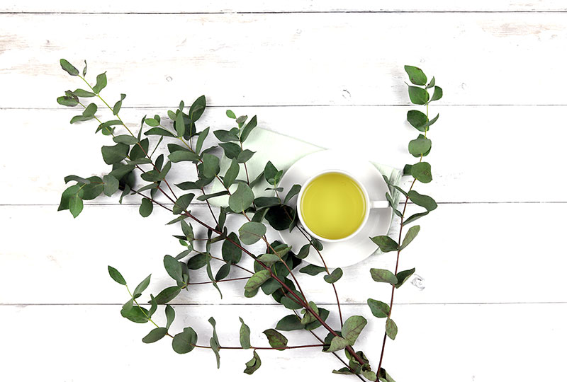 Best Caffeine Free Tea for Morning Energy: Top 15 Teas To Try
