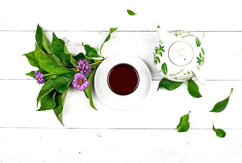 elderberry tea guide