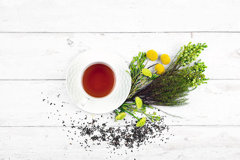 Top 10 High Caffeine Teas to Try