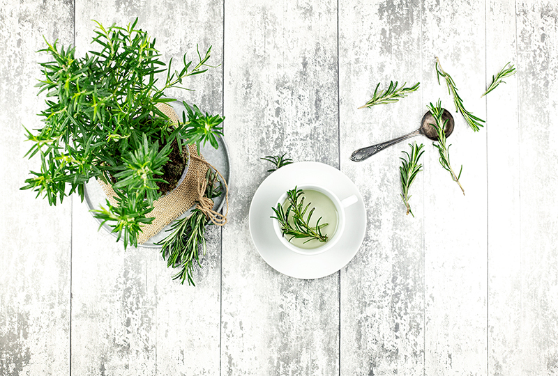 Rosemary Tea Guide