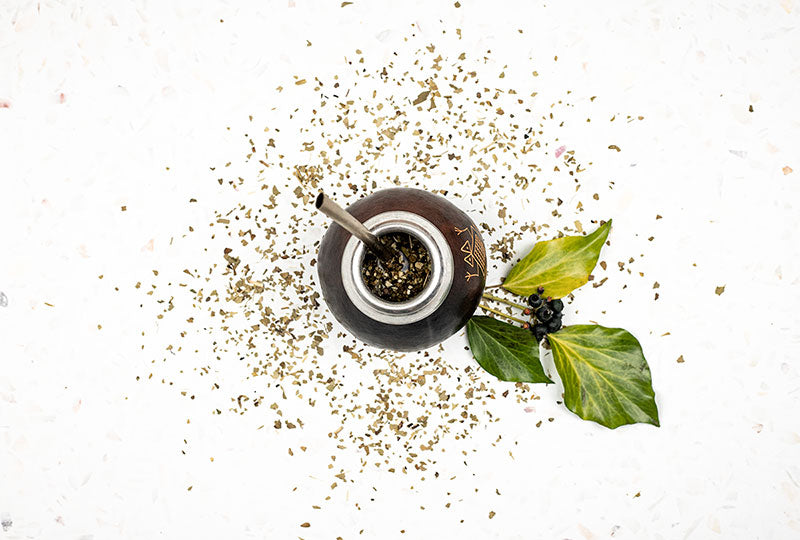 yerba mate tea guide