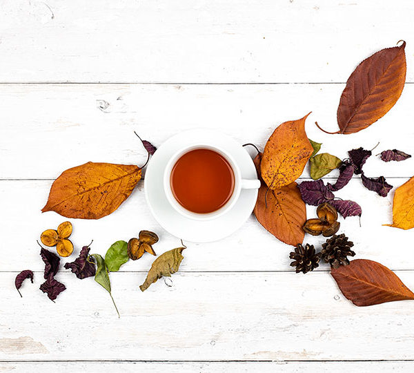 Fall seasonal tea flavors