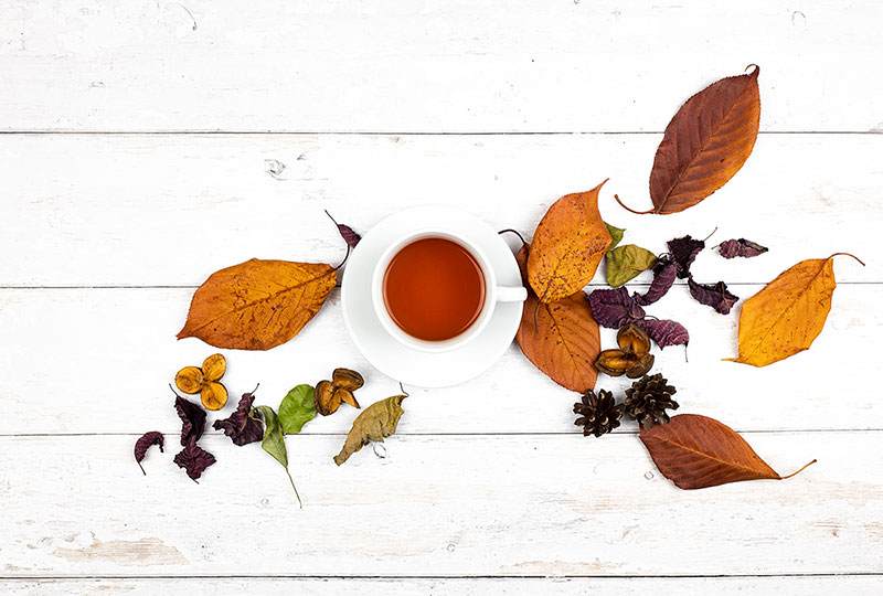 Fall seasonal tea flavors